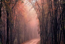 16岁YONEX新锐力量崛起,张瑞恩为TOP100网球梦而战.