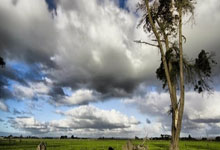 6-2、6-3，斯诺克八强决出2席：丁俊晖又一轮游.