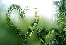 亚冠-李昂闪击武磊传射建功 海港3-2中央海岸水手.