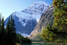 下场对河南队！记者：申花在今天结束假期重新集中，备战比赛.